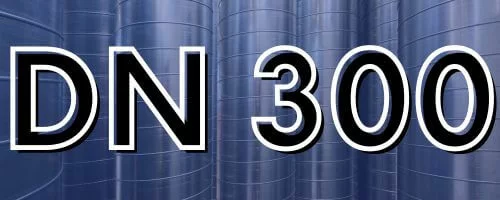 DN 300